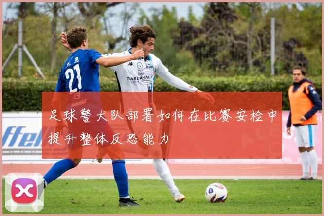 足球警犬队部署如何在比赛安检中提升整体反恐能力